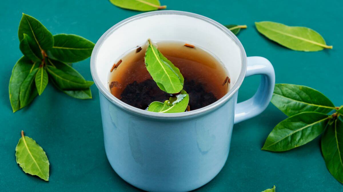 Para que serve o chá de louro